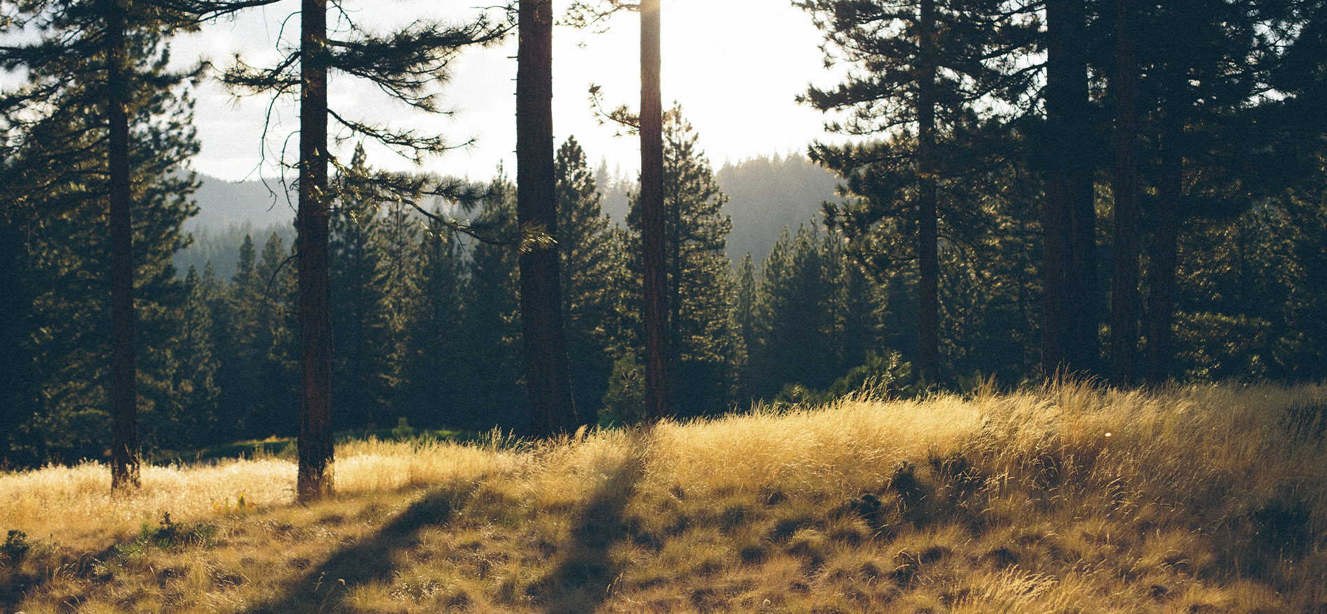 Wir finanzieren Ihr Unternehmenswachstum